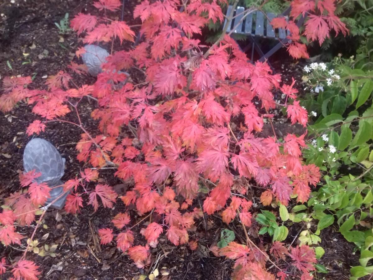 La Haie A Cerf Watronville 외부 사진