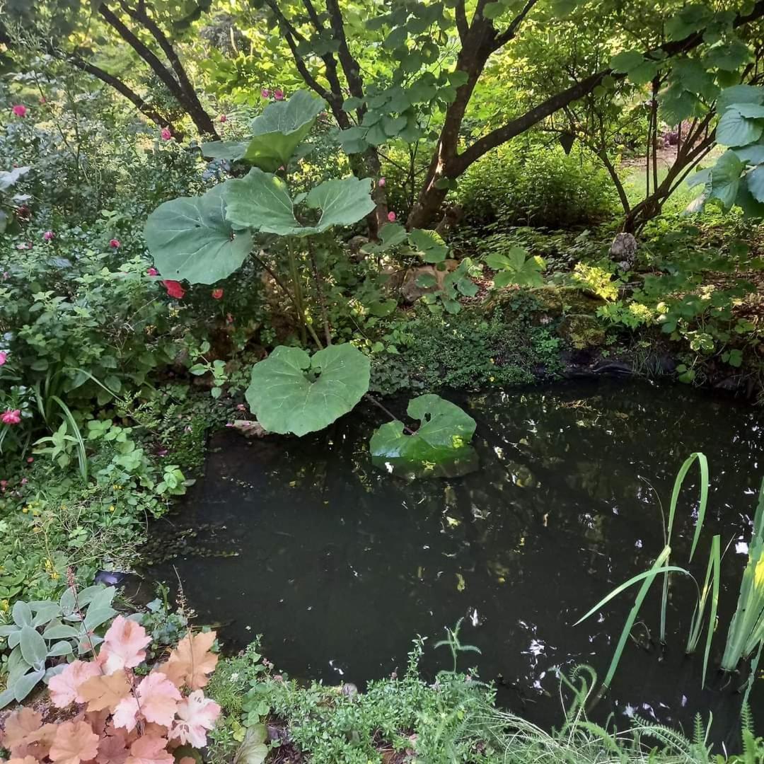 La Haie A Cerf Watronville 외부 사진