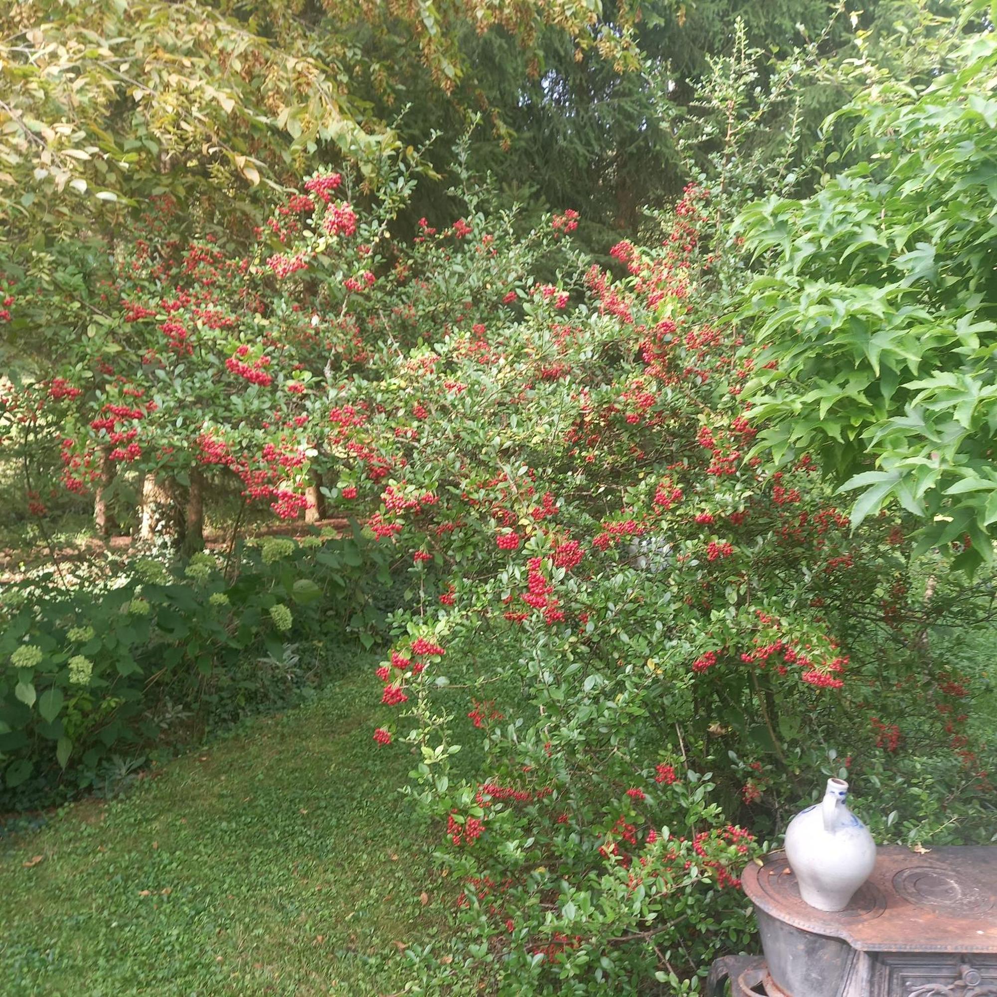 La Haie A Cerf Watronville 외부 사진