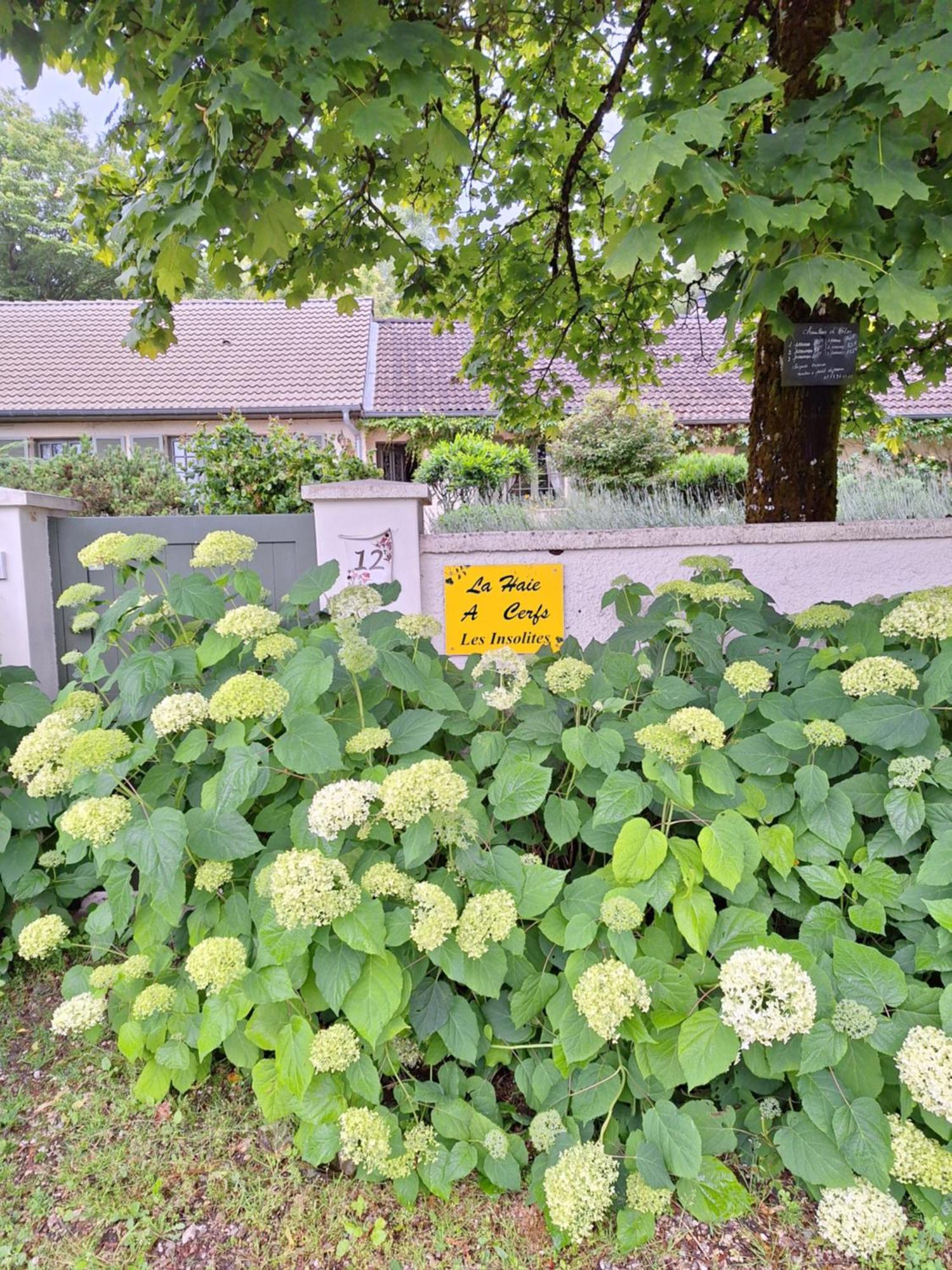 La Haie A Cerf Watronville 외부 사진