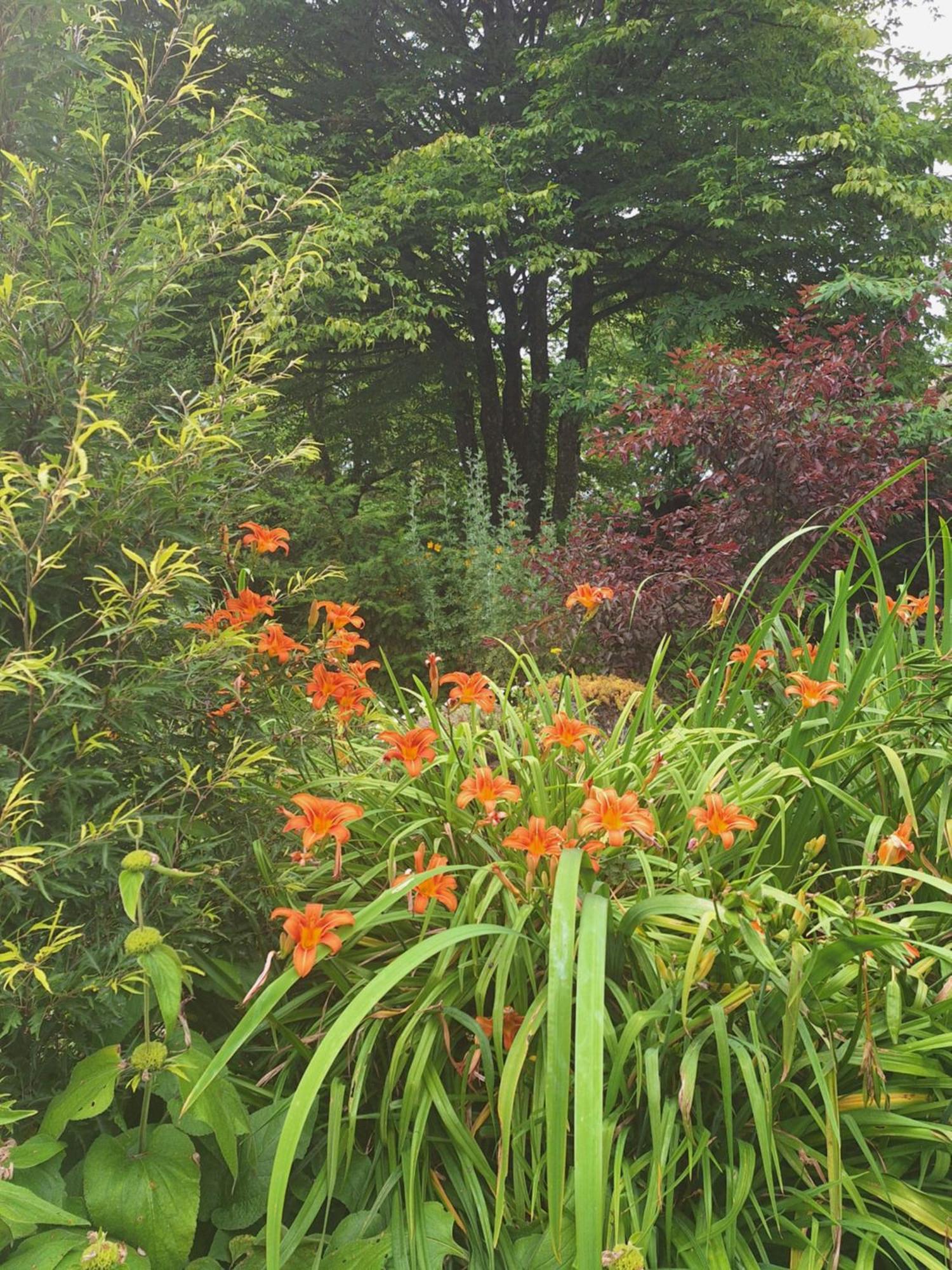La Haie A Cerf Watronville 외부 사진